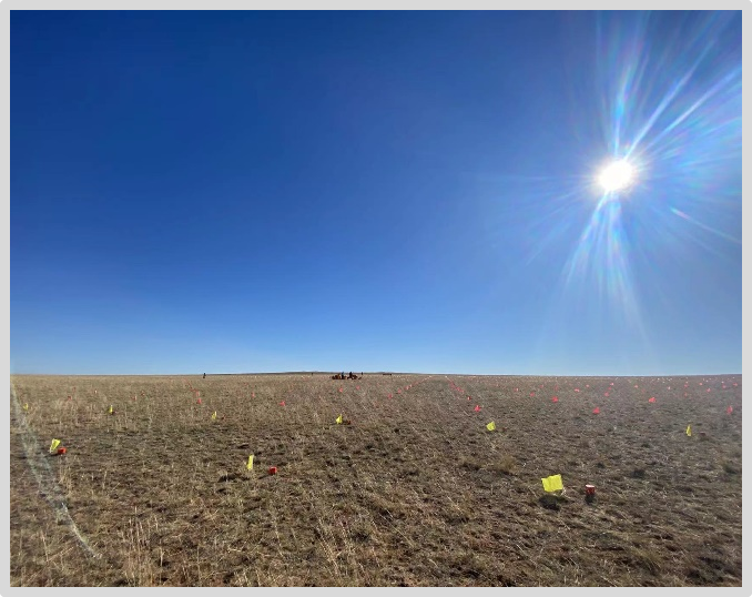 图片7.png 图片7.png