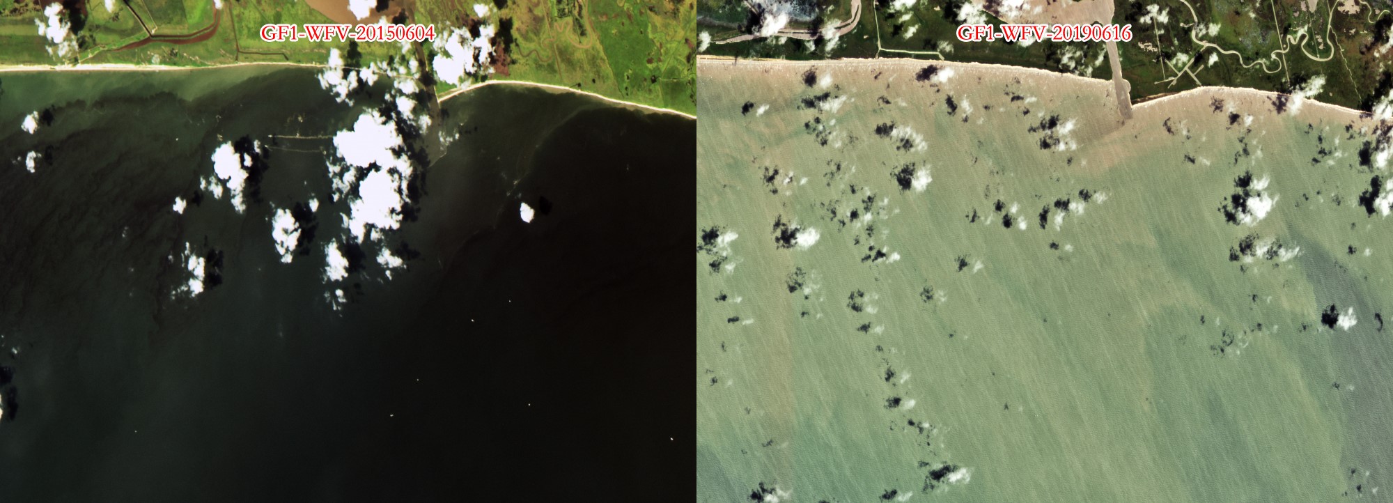 陆地观测卫星监测墨西哥海岸马尾藻侵袭